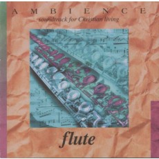Ambience Flute - 플릇 연주